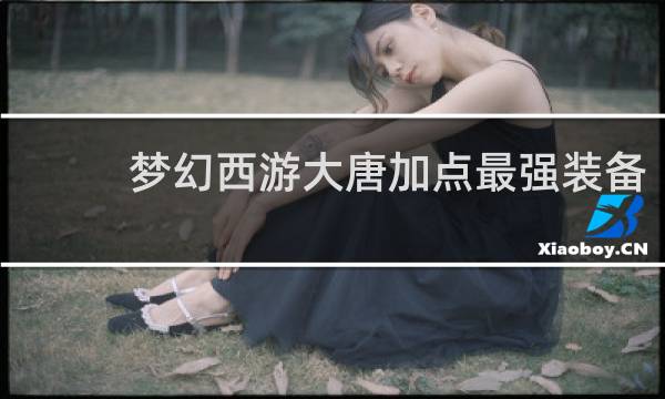 梦幻西游大唐加点最强装备