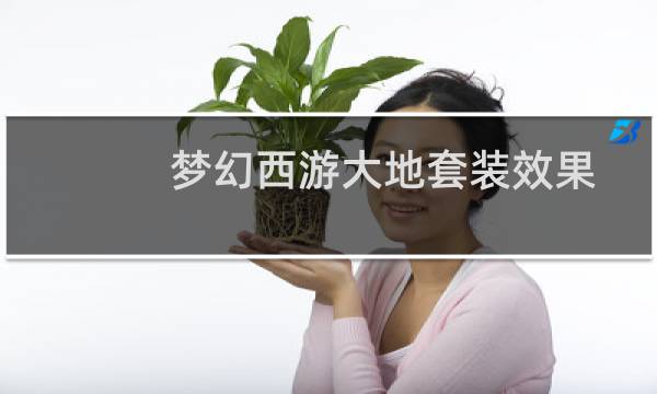梦幻西游大地套装效果