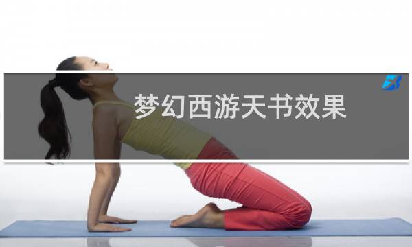梦幻西游天书效果