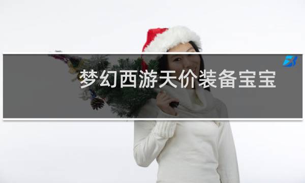 梦幻西游天价装备宝宝
