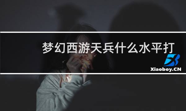梦幻西游天兵什么水平打