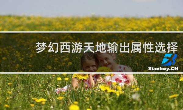 梦幻西游天地输出属性选择