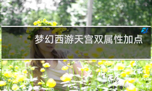 梦幻西游天宫双属性加点