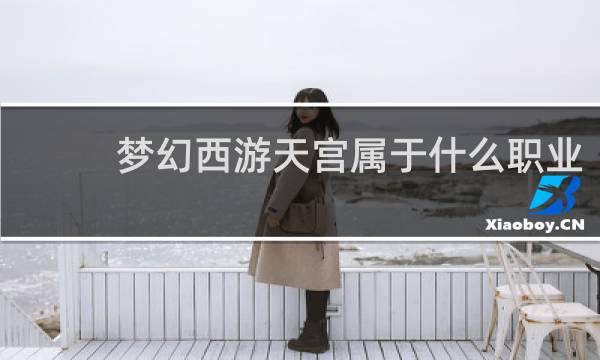 梦幻西游天宫属于什么职业