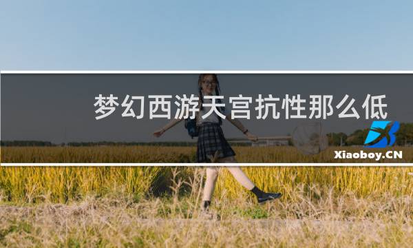 梦幻西游天宫抗性那么低