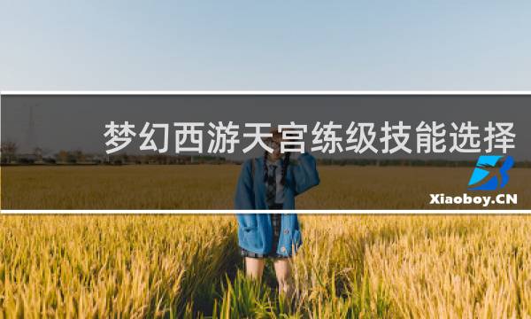 梦幻西游天宫练级技能选择