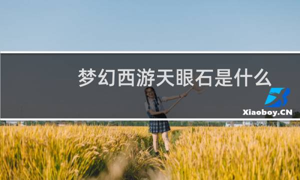 梦幻西游天眼石是什么