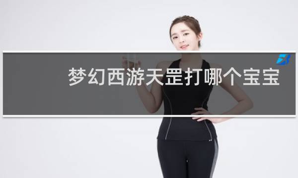 梦幻西游天罡打哪个宝宝
