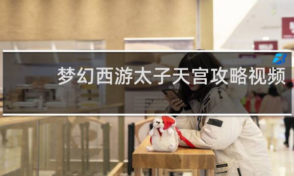 梦幻西游太子天宫攻略视频