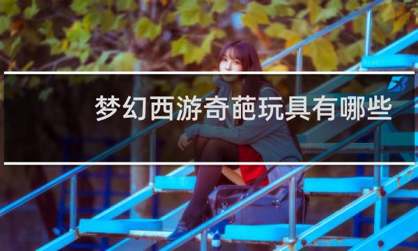 梦幻西游奇葩玩具有哪些