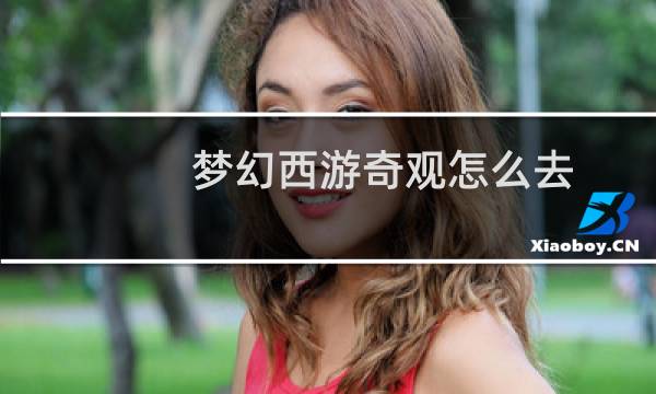 梦幻西游奇观怎么去