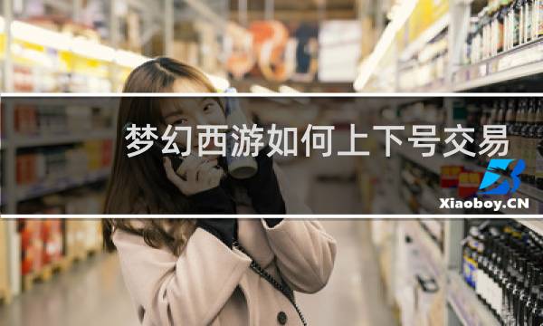 梦幻西游如何上下号交易