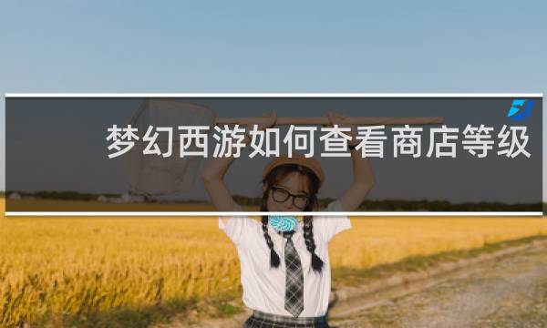 梦幻西游如何查看商店等级