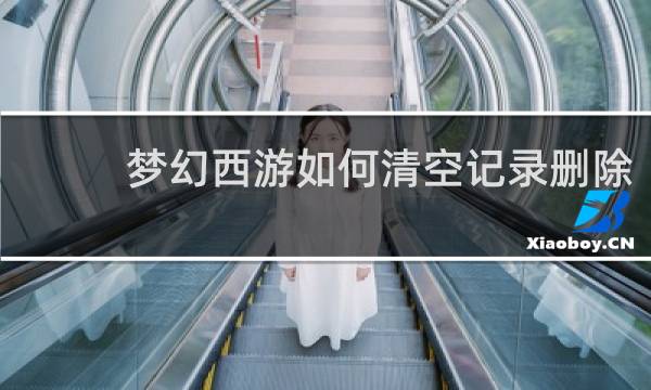 梦幻西游如何清空记录删除