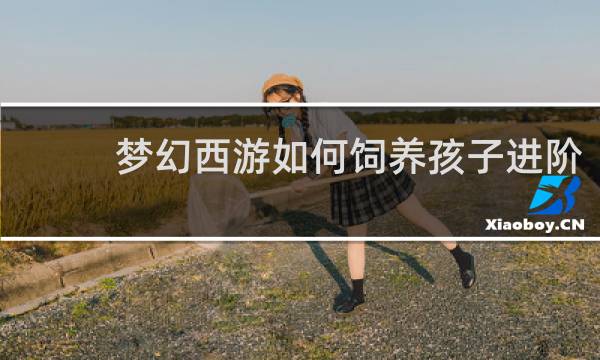 梦幻西游如何饲养孩子进阶