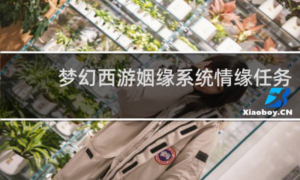 梦幻西游姻缘系统情缘任务