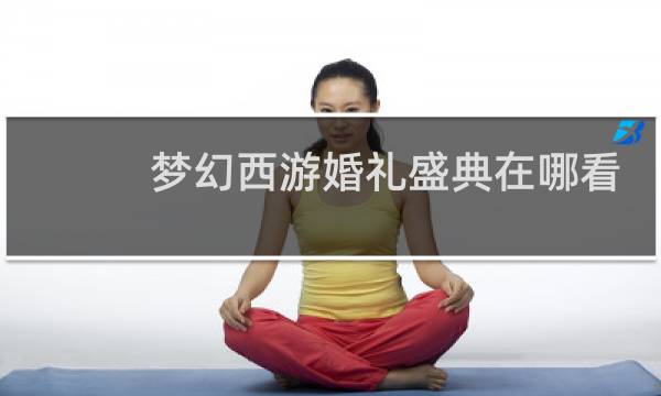 梦幻西游婚礼盛典在哪看