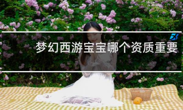 梦幻西游宝宝哪个资质重要