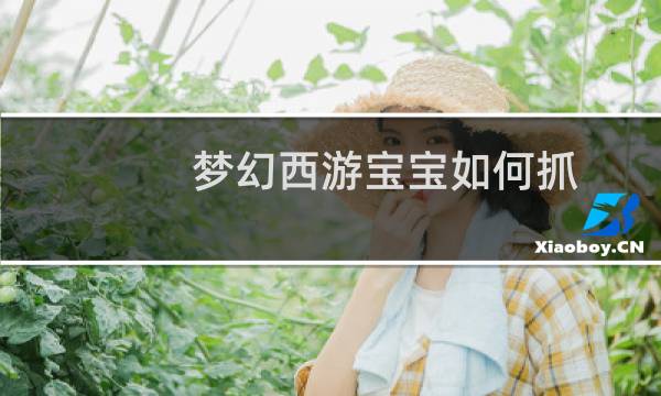 梦幻西游宝宝如何抓