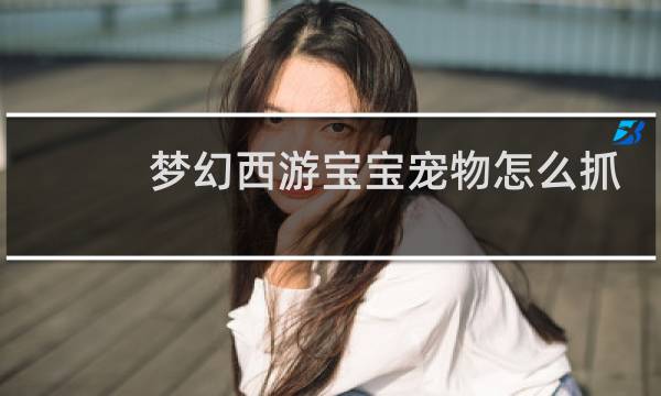 梦幻西游宝宝宠物怎么抓