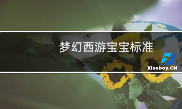 梦幻西游宝宝标准