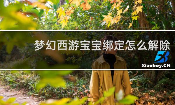 梦幻西游宝宝绑定怎么解除