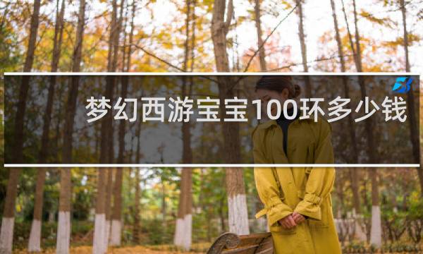 梦幻西游宝宝100环多少钱