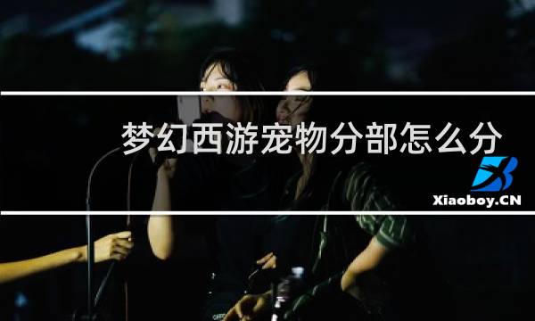 梦幻西游宠物分部怎么分