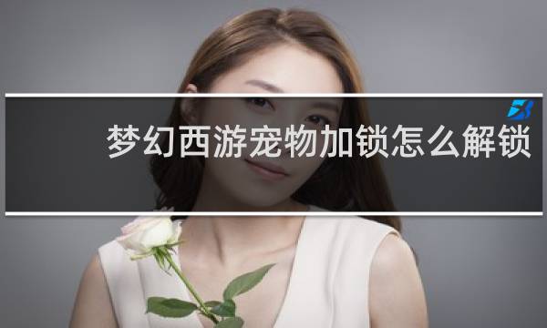 梦幻西游宠物加锁怎么解锁