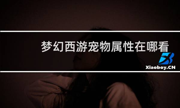 梦幻西游宠物属性在哪看