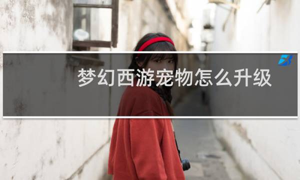 梦幻西游宠物怎么升级