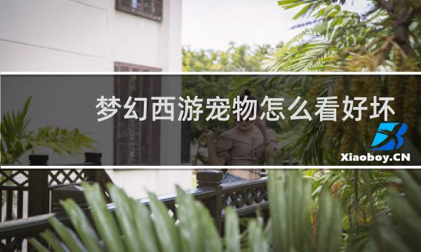 梦幻西游宠物怎么看好坏