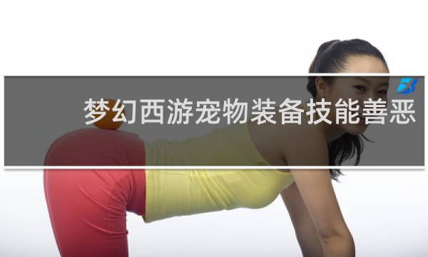 梦幻西游宠物装备技能善恶