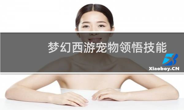 梦幻西游宠物领悟技能