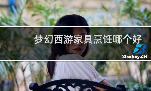 梦幻西游家具烹饪哪个好