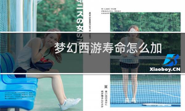 梦幻西游寿命怎么加