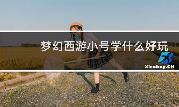 梦幻西游小号学什么好玩