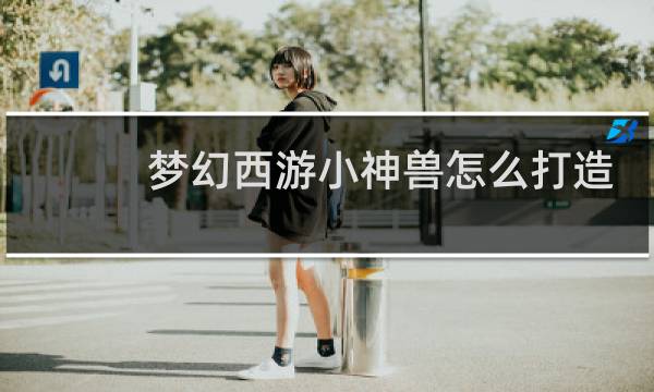 梦幻西游小神兽怎么打造