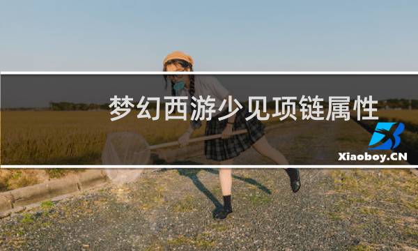 梦幻西游少见项链属性