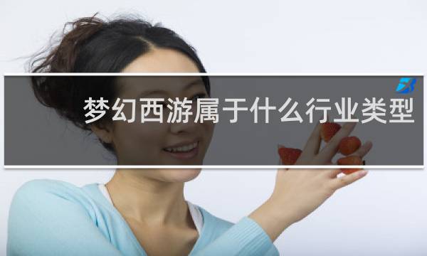 梦幻西游属于什么行业类型
