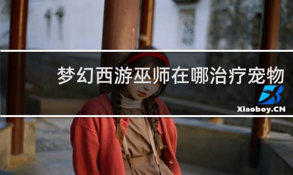 梦幻西游巫师在哪治疗宠物