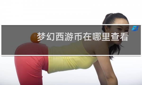 梦幻西游币在哪里查看