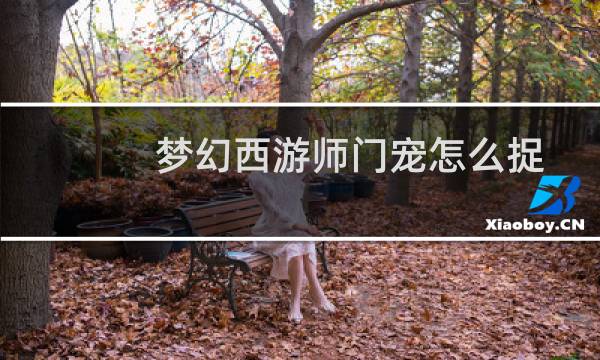 梦幻西游师门宠怎么捉