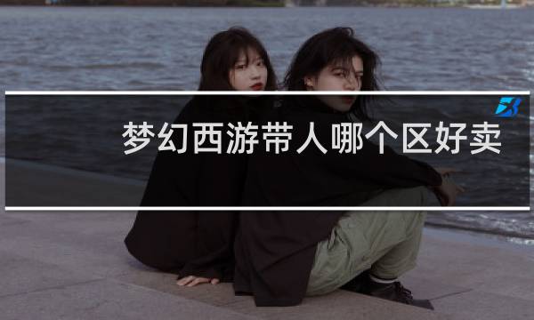 梦幻西游带人哪个区好卖