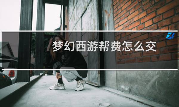 梦幻西游帮费怎么交