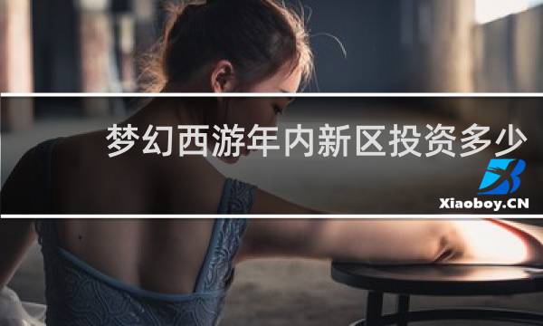 梦幻西游年内新区投资多少