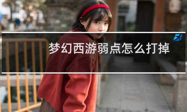 梦幻西游弱点怎么打掉