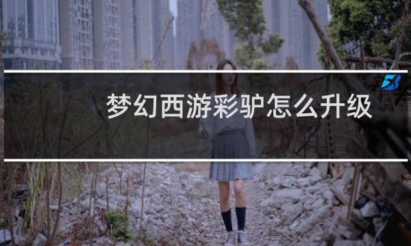 梦幻西游彩驴怎么升级