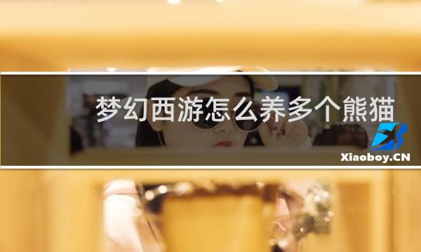 梦幻西游怎么养多个熊猫
