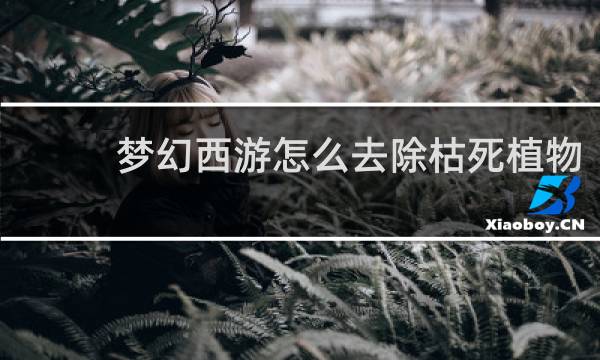 梦幻西游怎么去除枯死植物